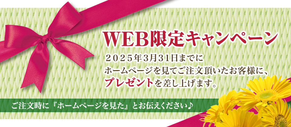 WEB限定キャンペーン プレゼント