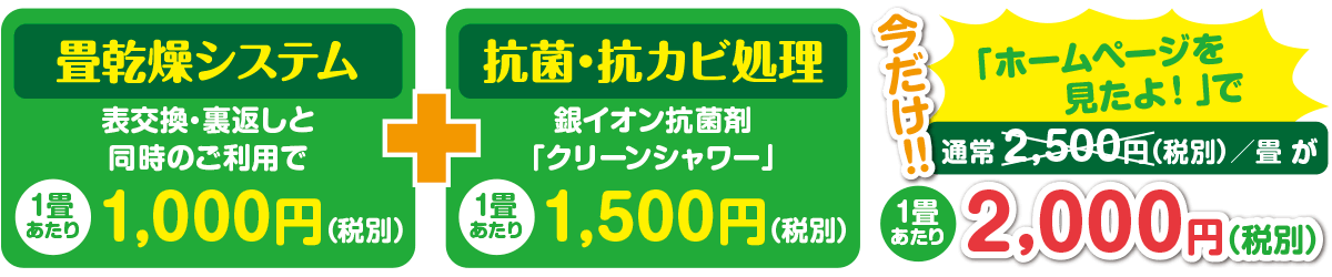 畳替えの種類 新床 表替え 裏返し 小澤畳工業所